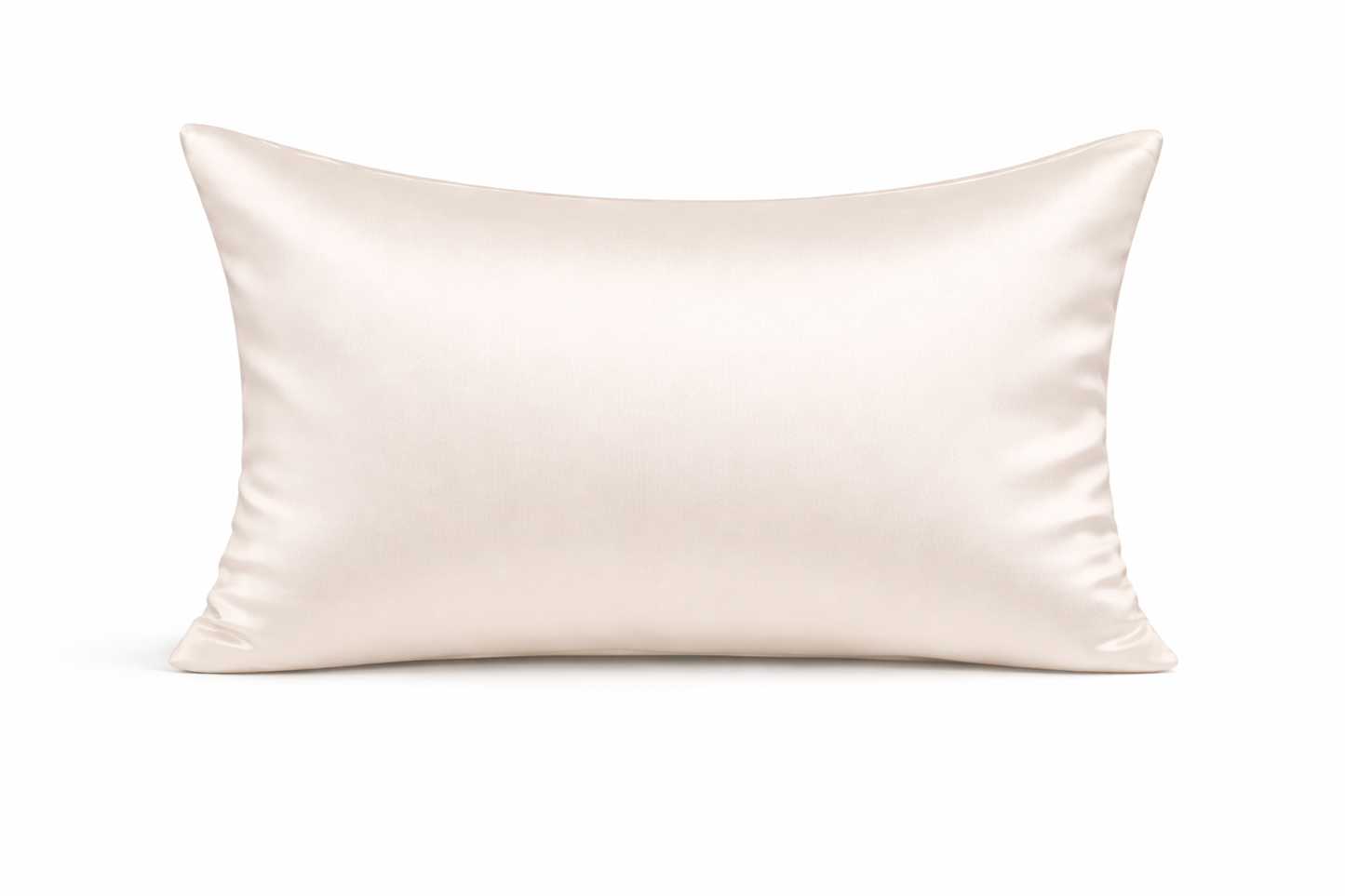 22mm Silk Pillowcase -Single